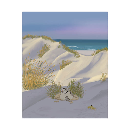 Coastal Dunes Beach Poster — Serene Ocean Sunset Print