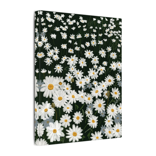 Daisy Field Matte Canvas Print — Stretched Wall Art