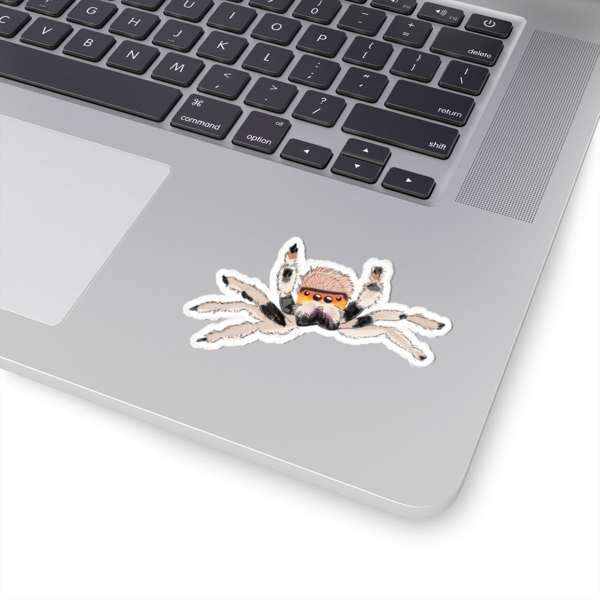Jumping Spider Sticker