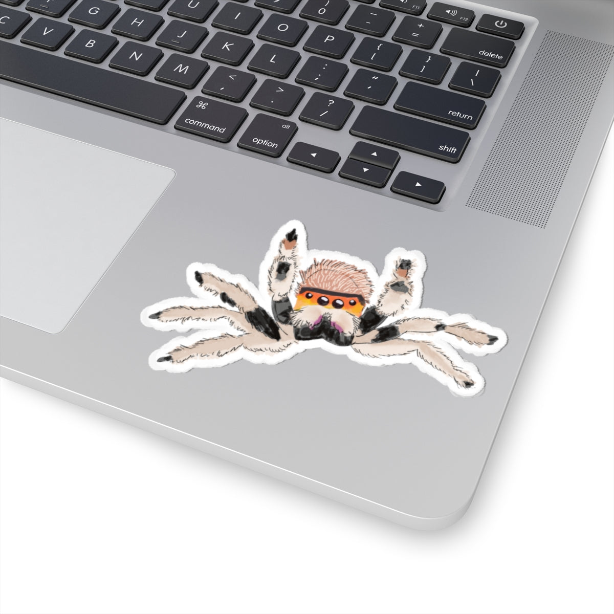 Jumping Spider Sticker
