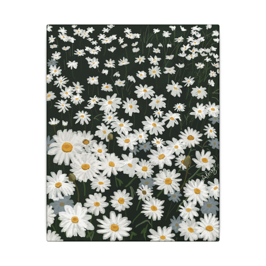 Daisy Field Matte Canvas Print — Stretched Wall Art