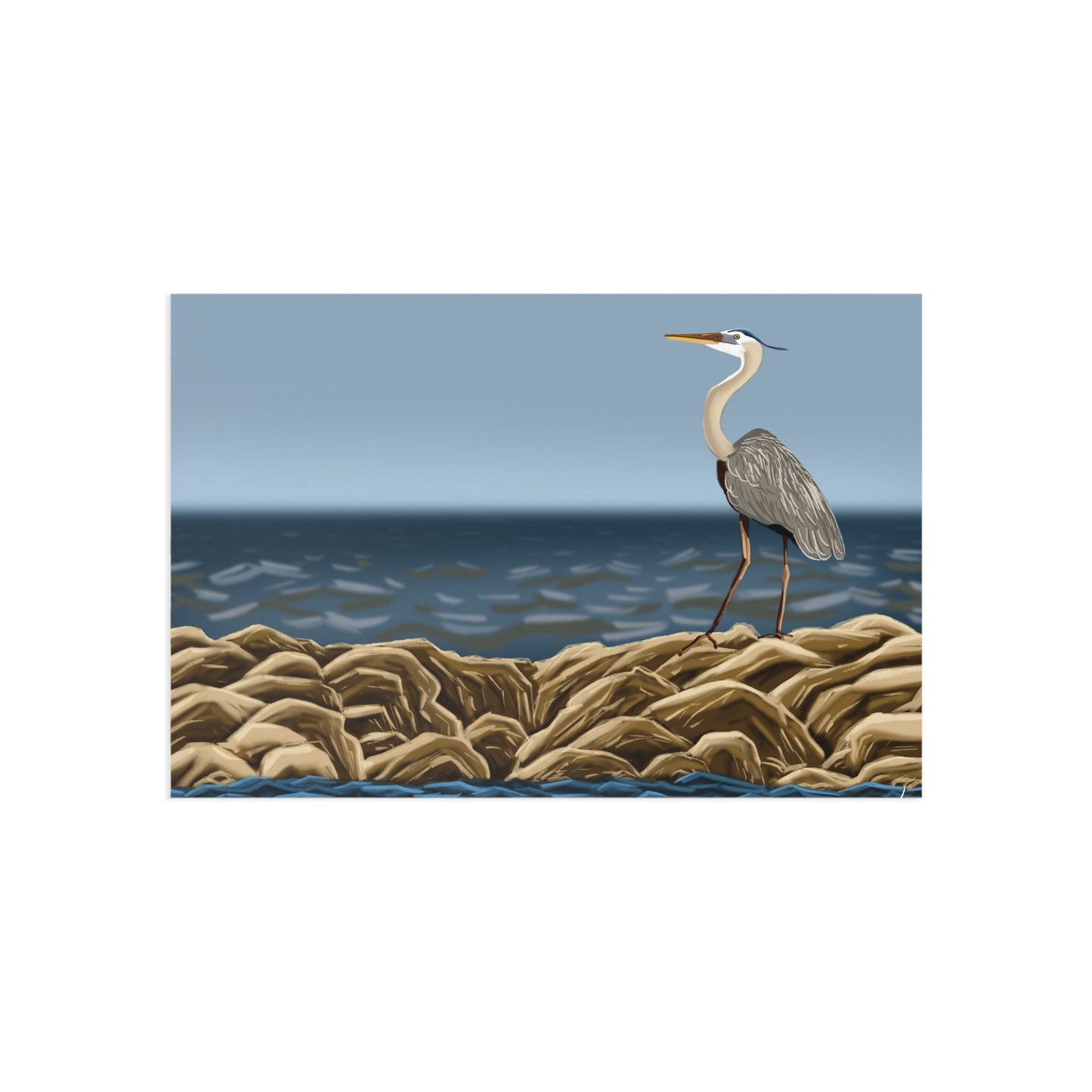 Heron on Corpus Bay Fine Art Postcard