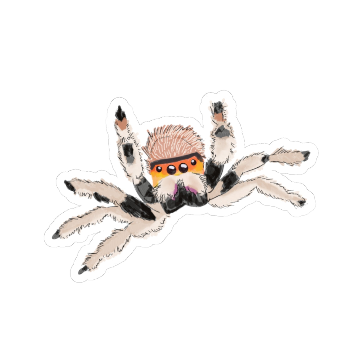 Jumping Spider Sticker